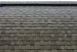roofing contractor circle pines mn